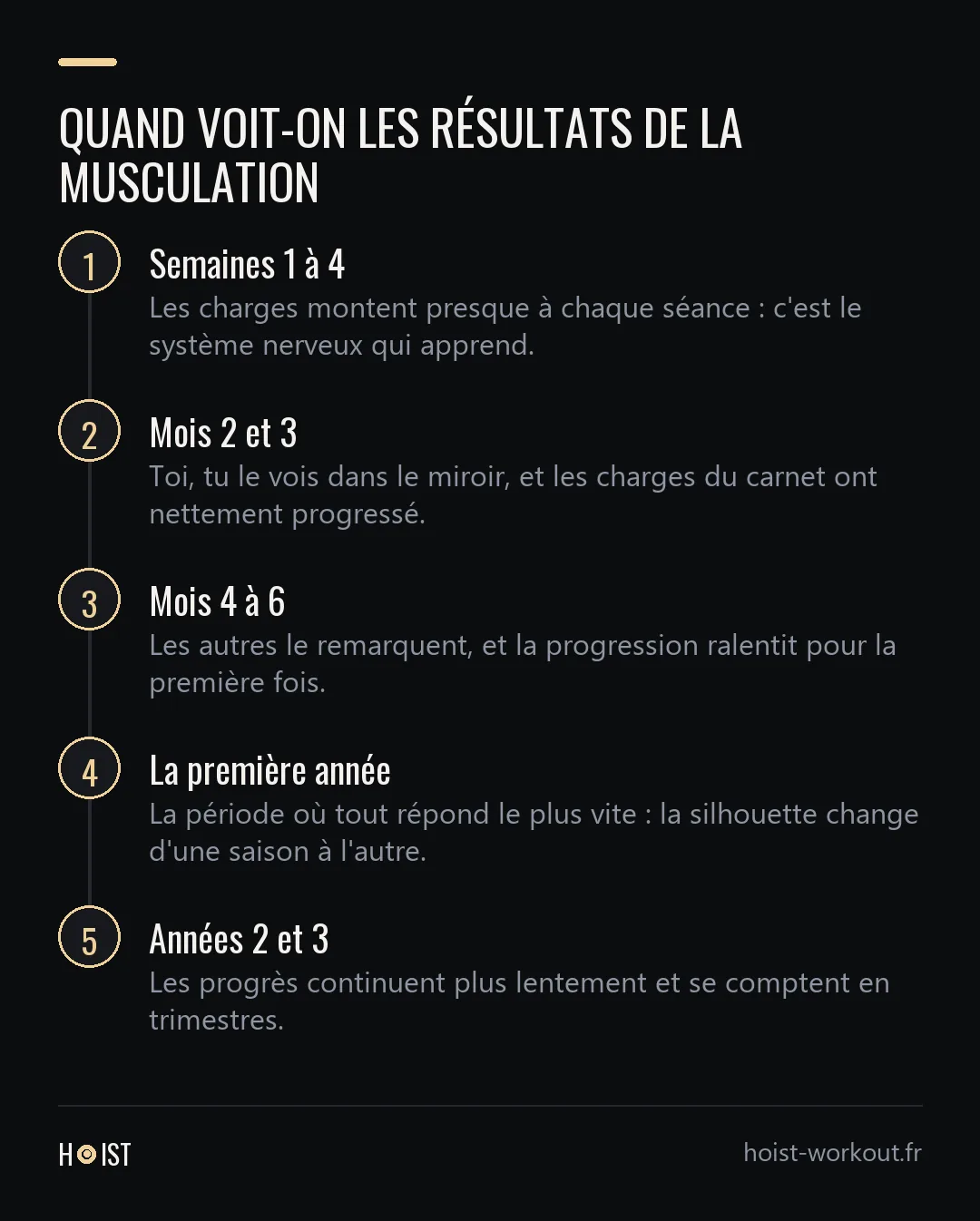 Frise en cinq étapes des résultats en musculation, des semaines 1 à 4 où la force monte grâce au système nerveux jusqu'aux années 2 et 3 où les progrès se comptent en trimestres.