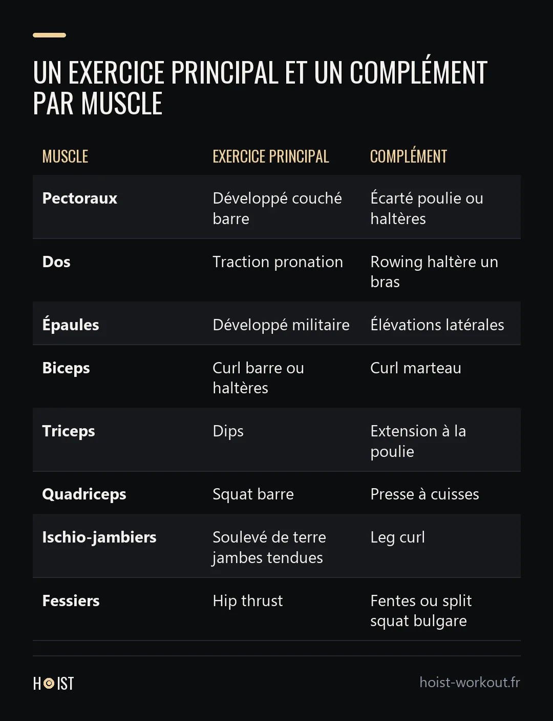 Tableau de huit grands muscles, chacun avec un exercice principal et un exercice complémentaire.