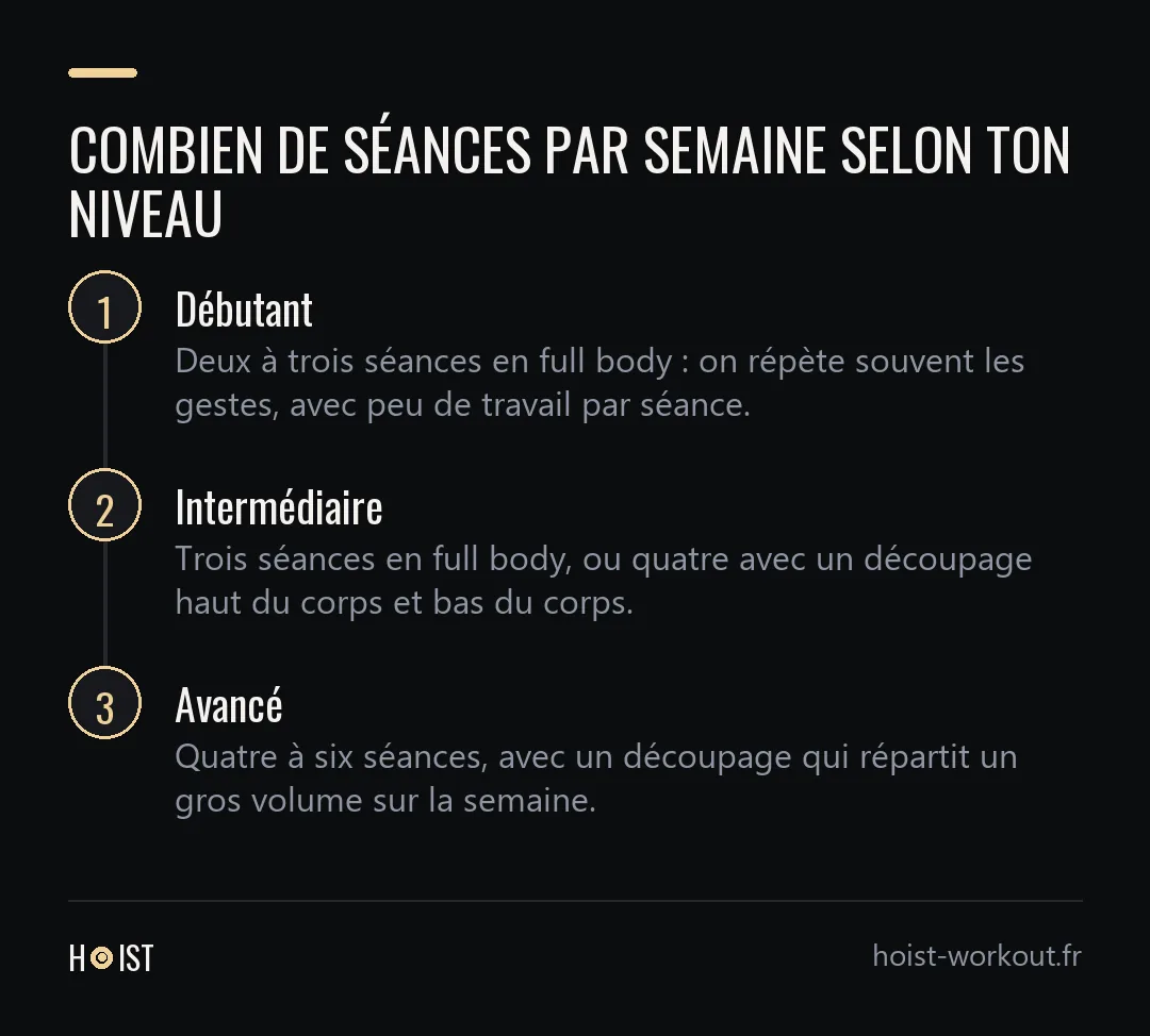 Frise en trois étapes : deux à trois séances en full body pour un débutant, trois en full body ou quatre en haut et bas du corps pour un intermédiaire, quatre à six séances pour un pratiquant avancé.