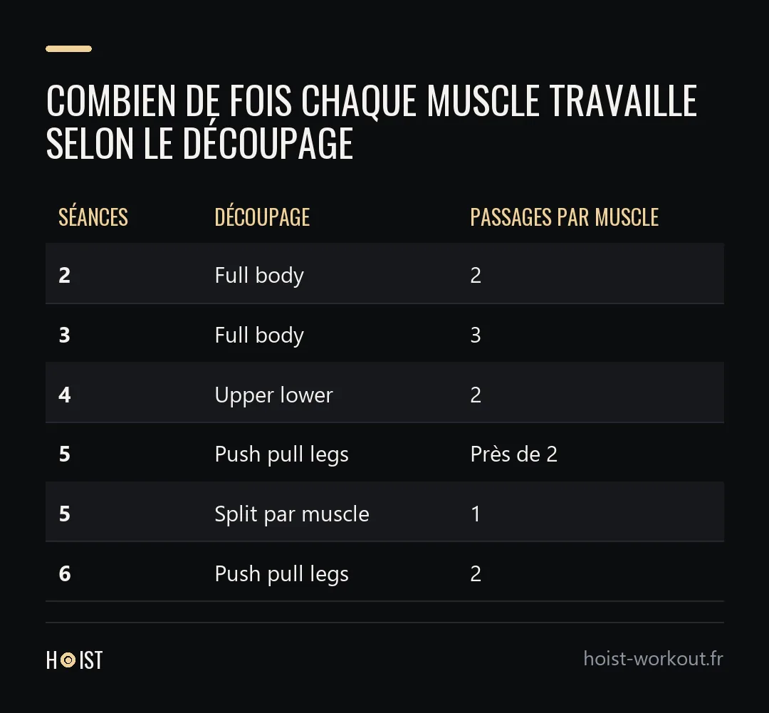 Tableau du nombre de passages par muscle et par semaine : deux en full body à deux séances, trois en full body à trois séances, deux en upper lower à quatre séances, près de deux en push pull legs à cinq séances, un en split à cinq séances, deux en push pull legs à six séances.