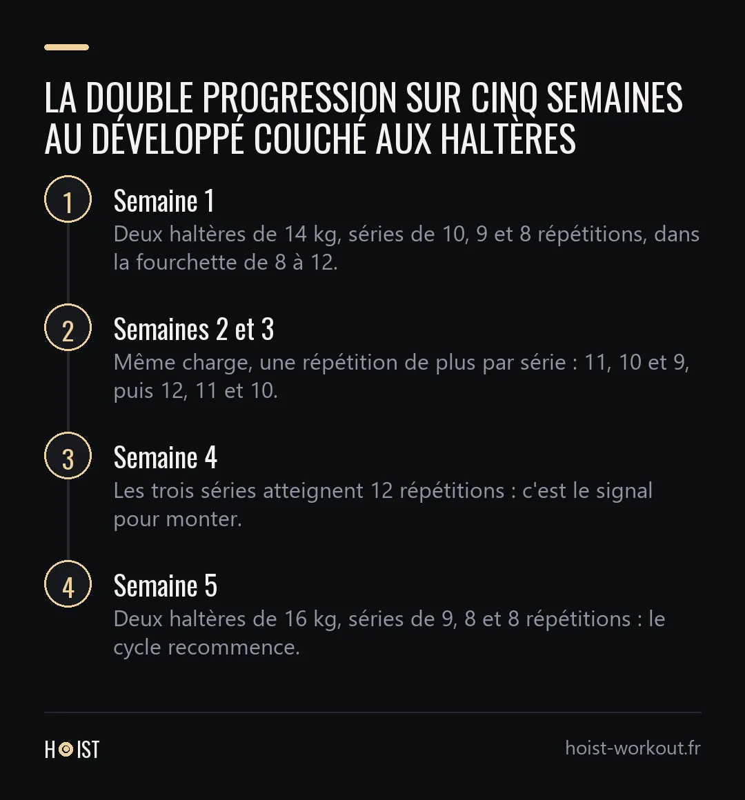 Frise en quatre étapes : trois séries de 10, 9 et 8 répétitions à 14 kg en semaine 1, une répétition de plus par série en semaines 2 et 3, trois séries de 12 en semaine 4, puis 16 kg en semaine 5.