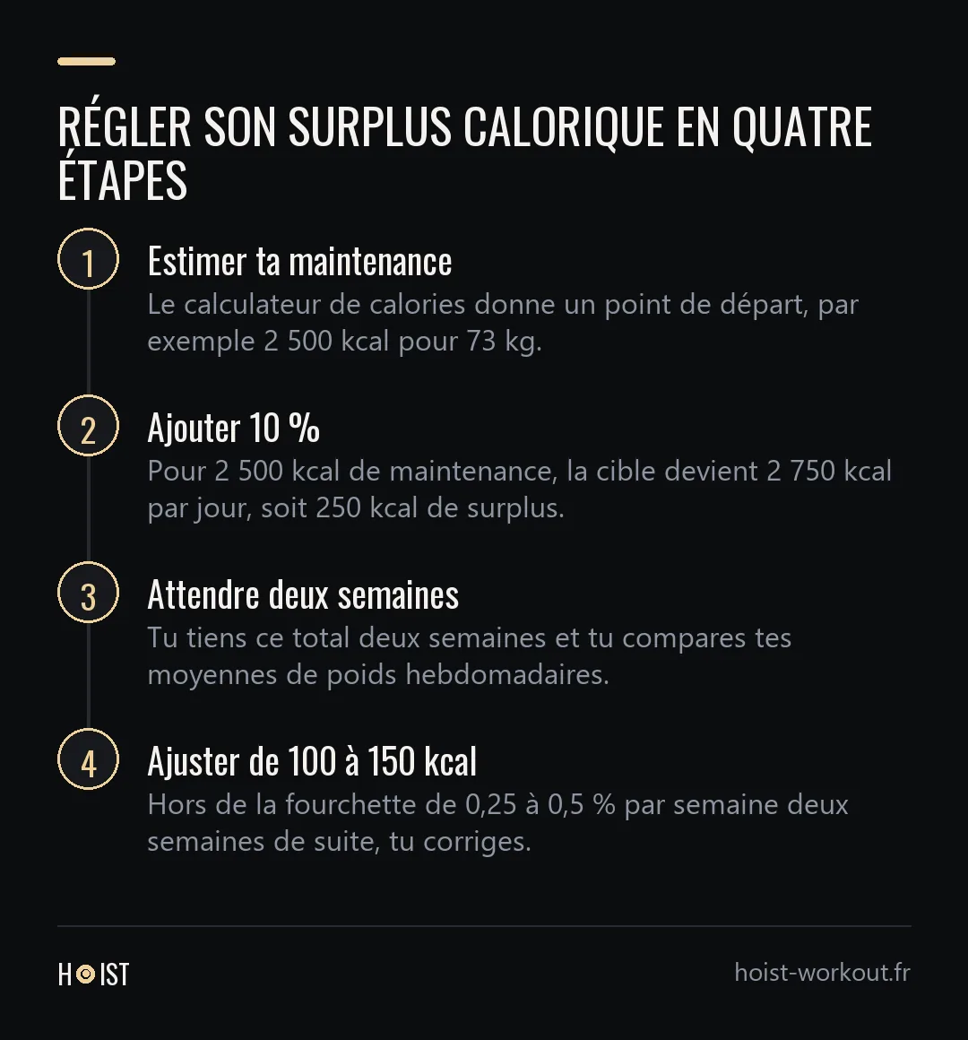Schéma en quatre étapes pour régler son surplus calorique : estimer sa maintenance, ajouter 10 %, attendre deux semaines, ajuster de 100 à 150 kcal.