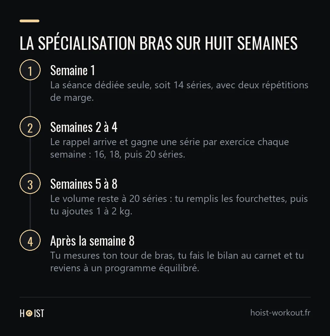Schéma en quatre étapes de la spécialisation bras, de la séance dédiée seule jusqu'au bilan de fin de cycle.
