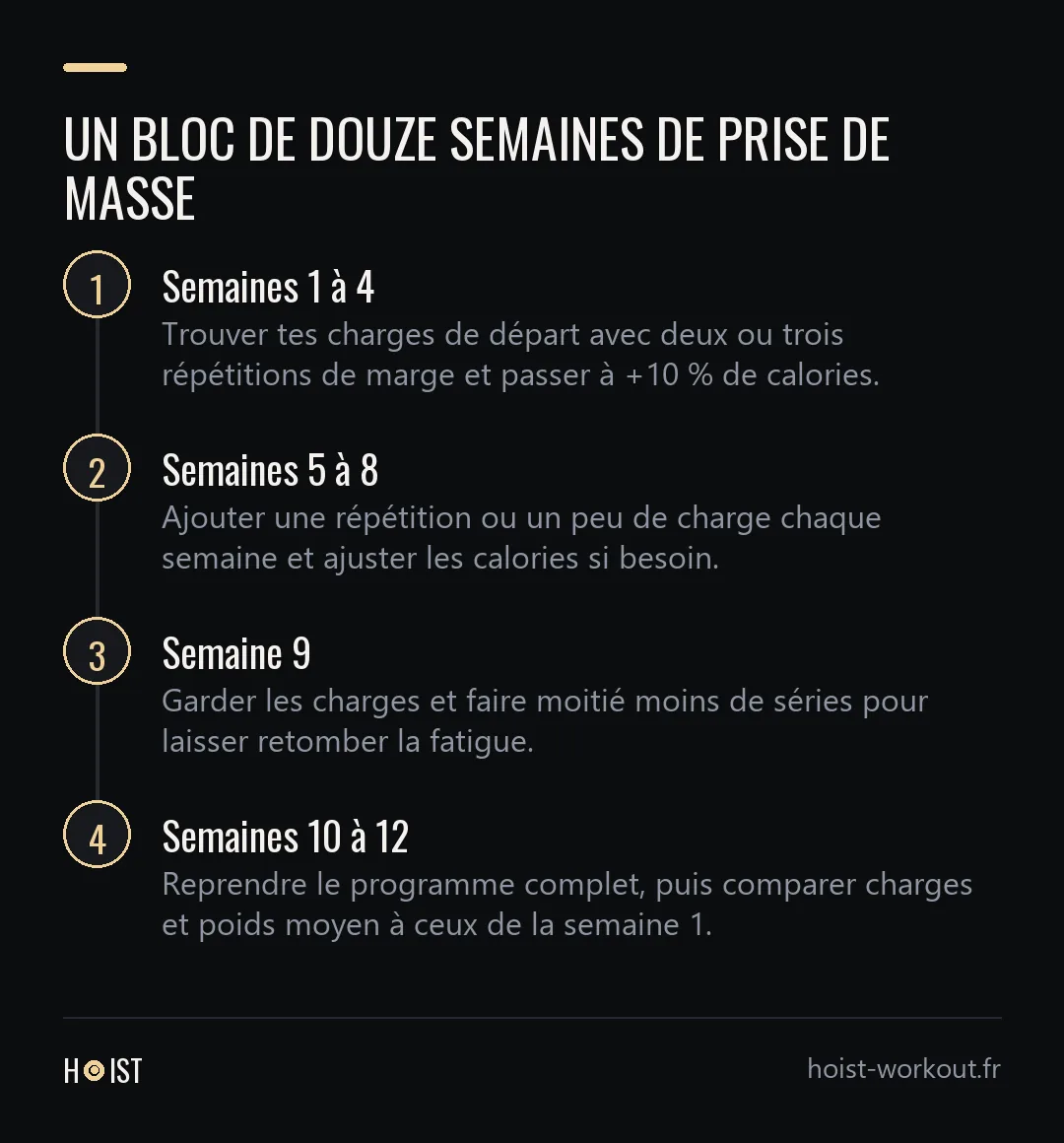 Schéma en quatre étapes d'un bloc de douze semaines de prise de masse, des repères au bilan.