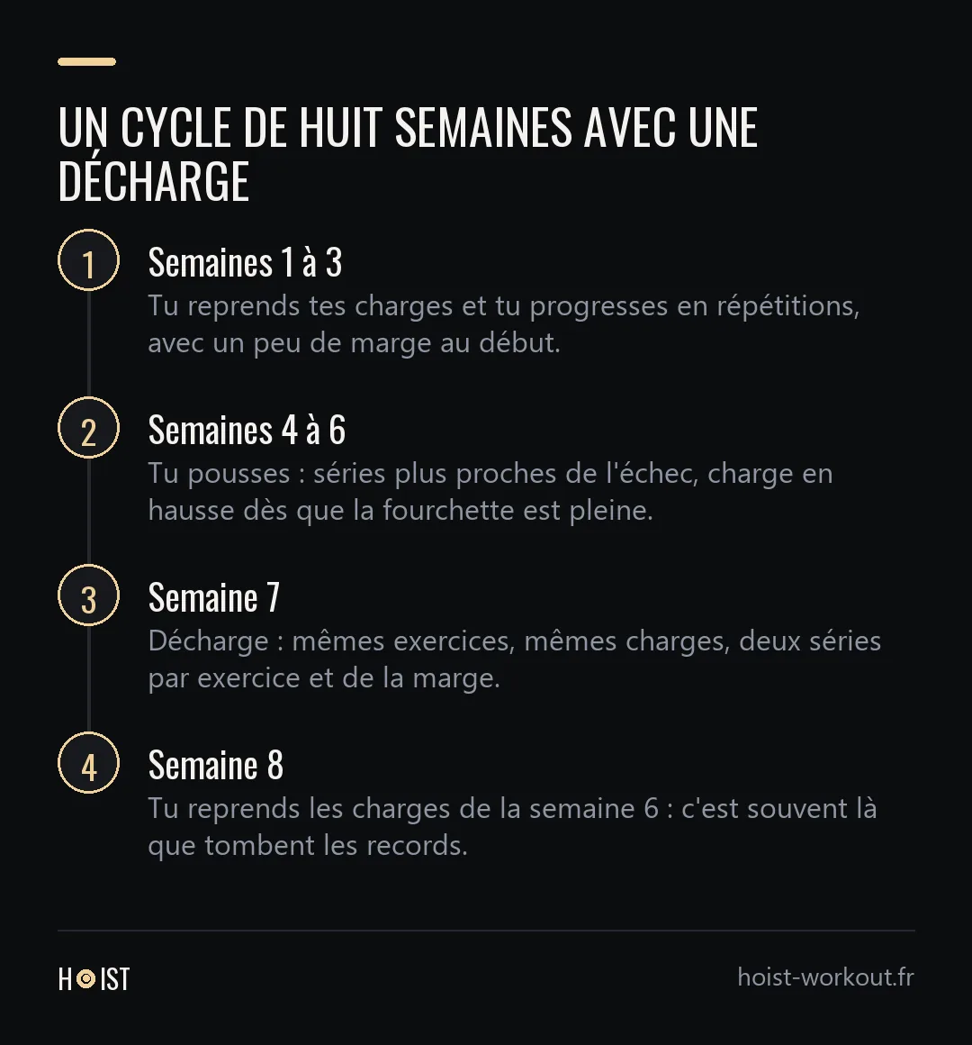 Frise en quatre étapes d'un cycle de huit semaines : trois semaines de reprise, trois semaines de poussée, une semaine de décharge en semaine 7, puis la reprise en semaine 8.