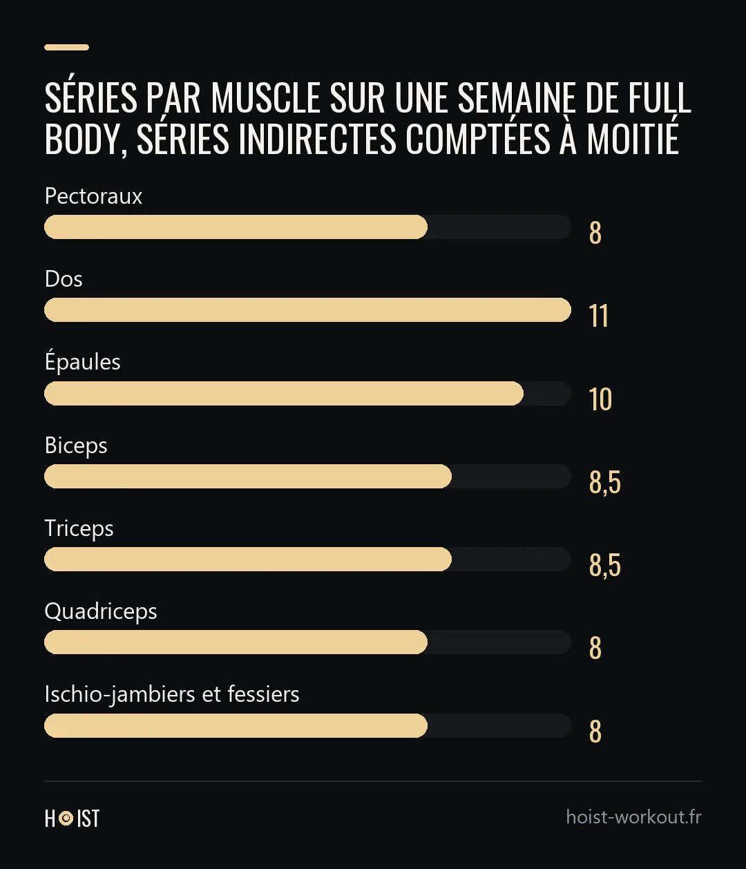 Graphique en barres des séries par muscle sur une semaine de full body, séries indirectes comptées à moitié : 8 pour les pectoraux, 11 pour le dos, 10 pour les épaules, 8,5 pour les biceps, 8,5 pour les triceps, 8 pour les quadriceps et 8 pour les ischio-jambiers et fessiers.